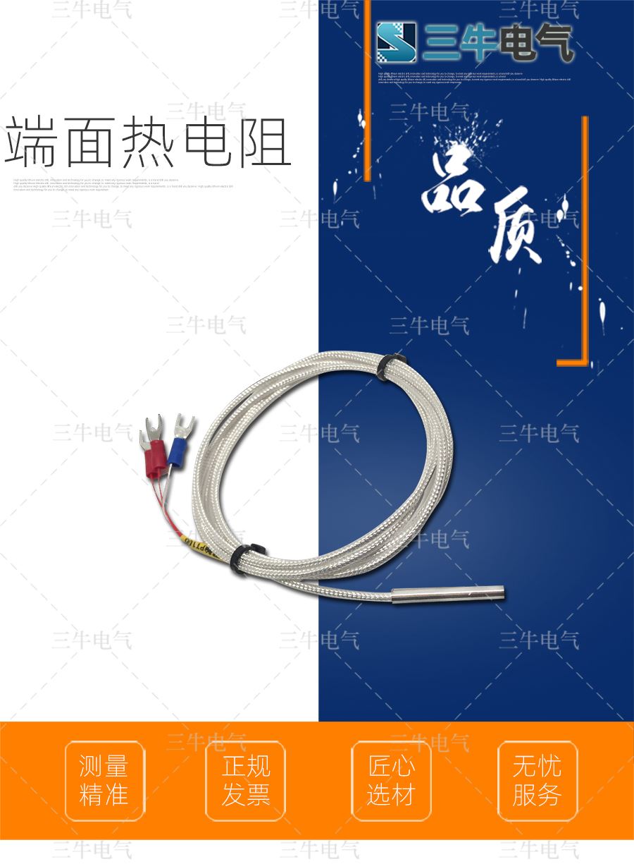 端面热电阻_01.jpg
